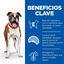 14 kg Hill's Science Plan Adult Light Medium Pollo pienso para perros, , large indicador imagen numero 3