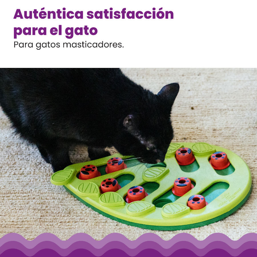 Catstages Nina Ottosson Puzzle &amp; Play Buggin’ Out Juguete de Inteligencia para gatos thumbnail