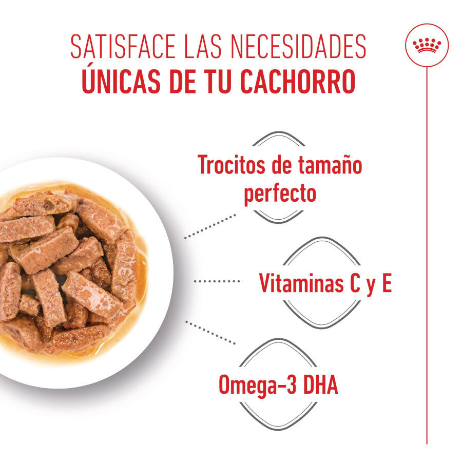 Royal Canin Húmedo Maxi Puppy sobre para perros thumbnail