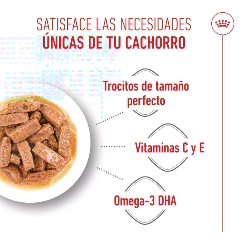 140 g Royal Canin Húmedo Maxi Puppy,  Imagen numero 4 140 g Royal Canin Húmedo Maxi Puppy, , large Imagen numero 4