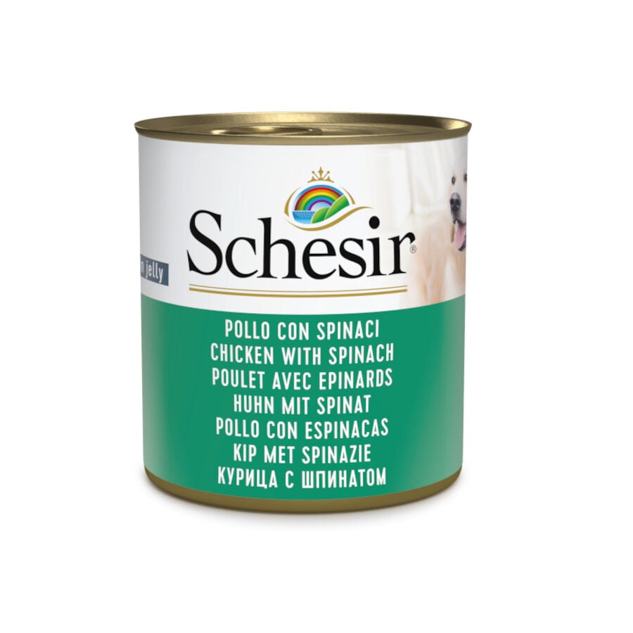 285 g Schesir Adult pollo con espinacas lata para perros, , large Imagen numero 1