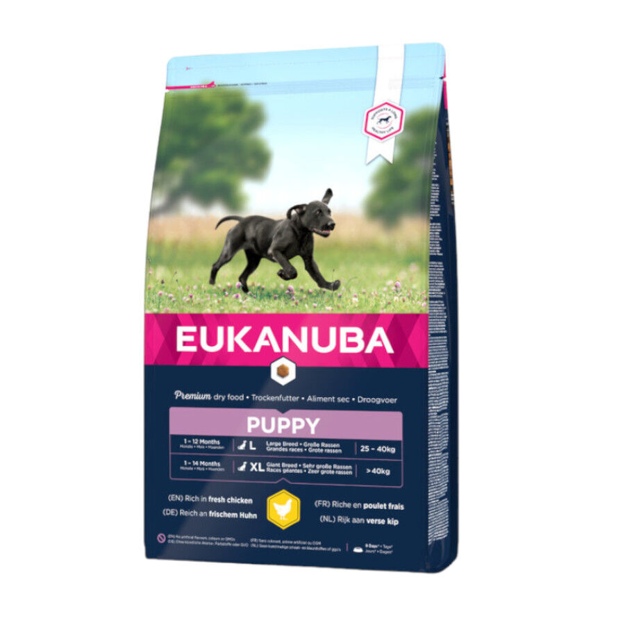 Eukanuba Puppy Large Pollo pienso para perros