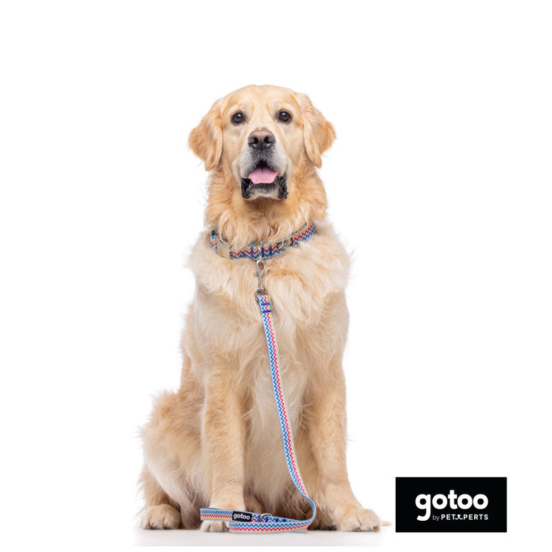 Gotoo Collar estampado rayas zig-zag para perros thumbnail