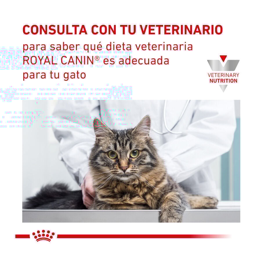 Royal Canin Veterinary Urinary Moderate Calorie sobres para gatos thumbnail