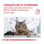 12 sobres x 85 g Royal Canin Veterinary Urinary Moderate Calorie sobres para gatos, , large indicador imagen numero 9