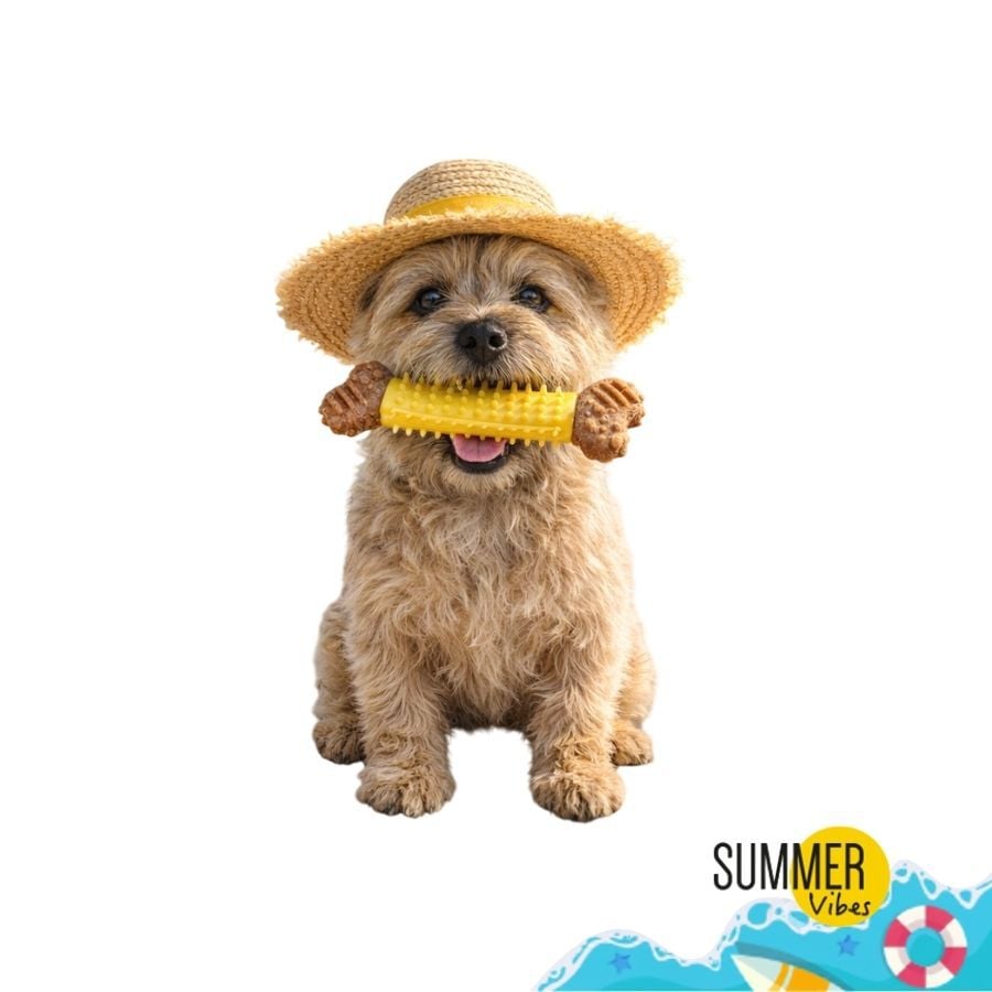 Summer Vibes Mordedor Hueso Juguete para perros, , large Imagen numero 7