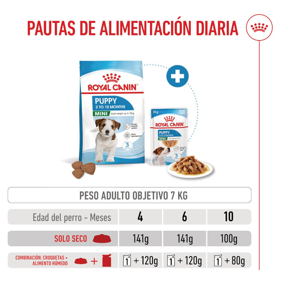 Royal Canin Mini Puppy pienso para perros thumbnail