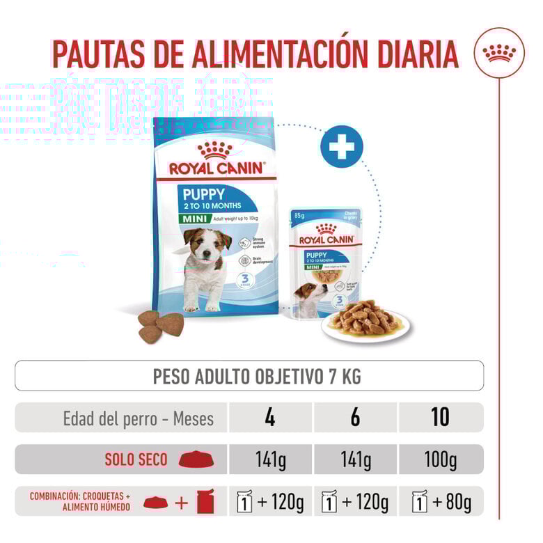 8 kg Royal Canin Mini Puppy pienso para perros,  Imagen numero 8 8 kg Royal Canin Mini Puppy pienso para perros, , large Imagen numero 8
