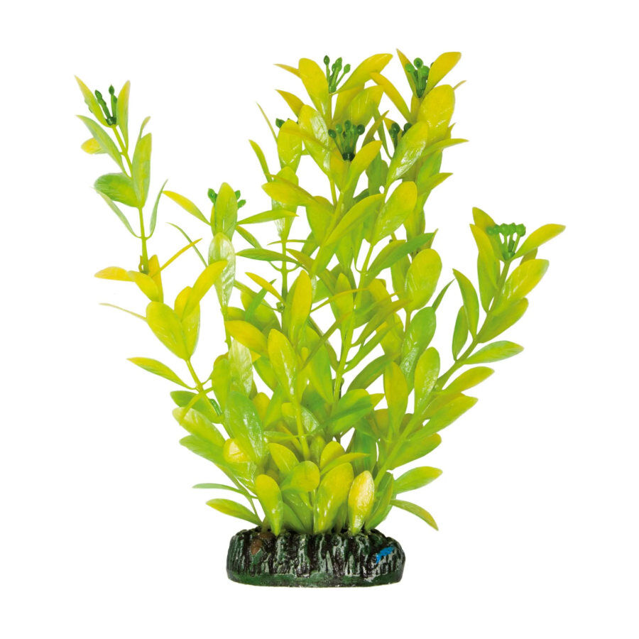 ICA Aquatic Plants Higrófila Polisperma planta artificial para acuarios