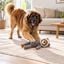 Tootoy! Comfort Mapache Gigante Peluche para perros, , large indicador imagen numero 1