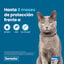 1 collar x 38 cm Seresto Collar Antiparasitario para gatos, , large indicador imagen numero 6