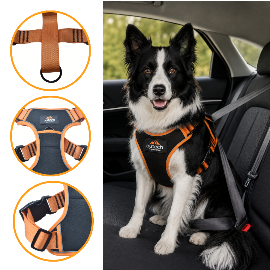 Outech X-perience Arn&eacute;s de Coche para perros, , large Imagen numero 3