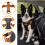 Outech X-perience Arn&eacute;s de Coche para perros, , large indicador imagen numero 3