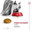 3 kg Royal Canin X-Small Adult pienso para perros, , large indicador imagen numero 6