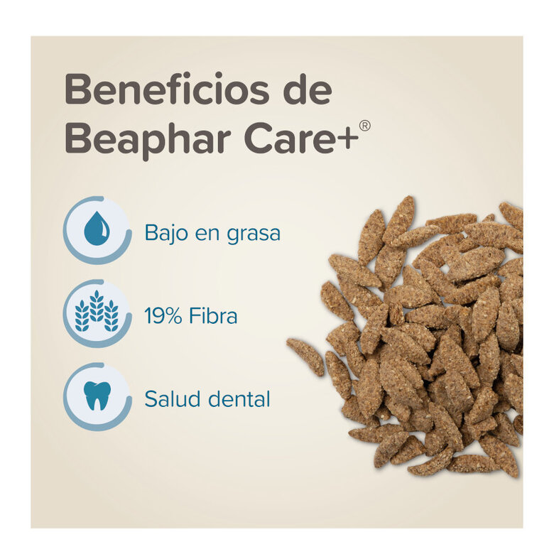 Beaphar Care+ pienso para chinchillas,  Imagen numero 3 Beaphar Care+ pienso para chinchillas, , large Imagen numero 3