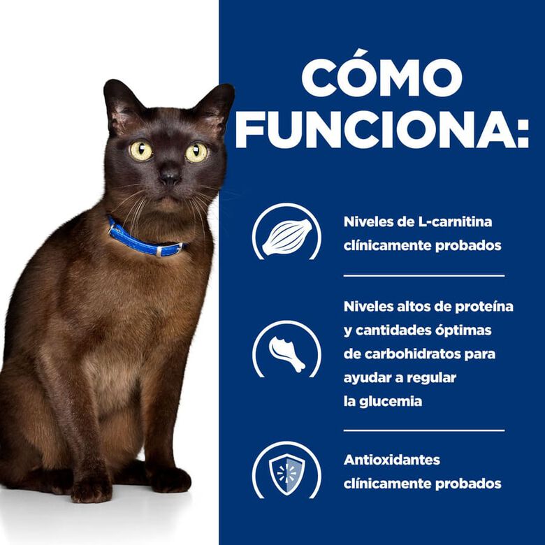 Hill&#039;s Prescription Diet Diabetes care Pollo pienso para gatos thumbnail