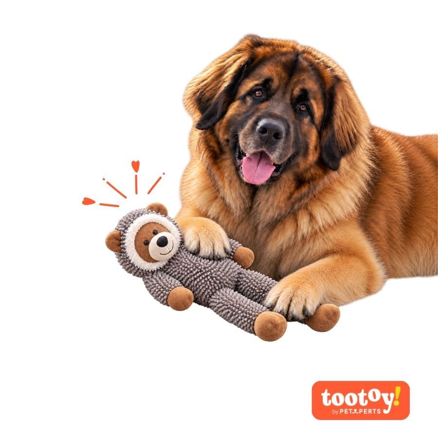 Tootoy! Comfort Mapache Gigante Peluche para perros, , large Imagen numero 7