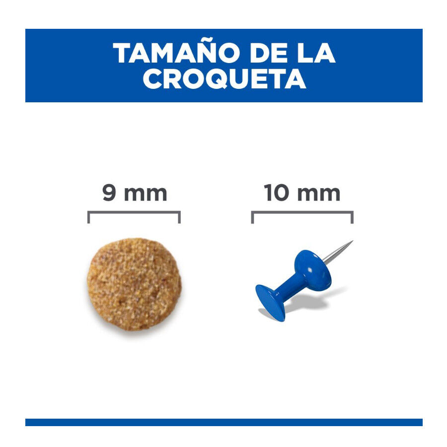 1.5 kg Hill's Science Plan Adult Pienso Salm&oacute;n para gatos, , large Imagen numero 9