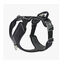 Dog Copenhagen Comfort Walk Pro Arnés Negro para perros, , large indicador imagen numero 1