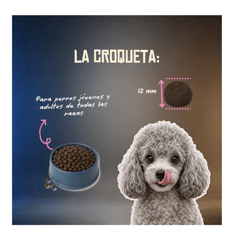 10 kg Lenda Grain Free Pavo pienso para perros, , large Imagen numero 6