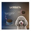 10 kg Lenda Grain Free Pavo pienso para perros, , large indicador imagen numero 6