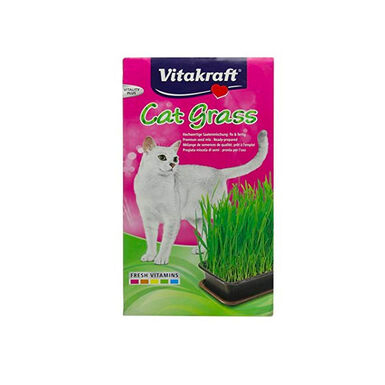 Vitakraft Cat-Grass Hierba Gatera para Gatos