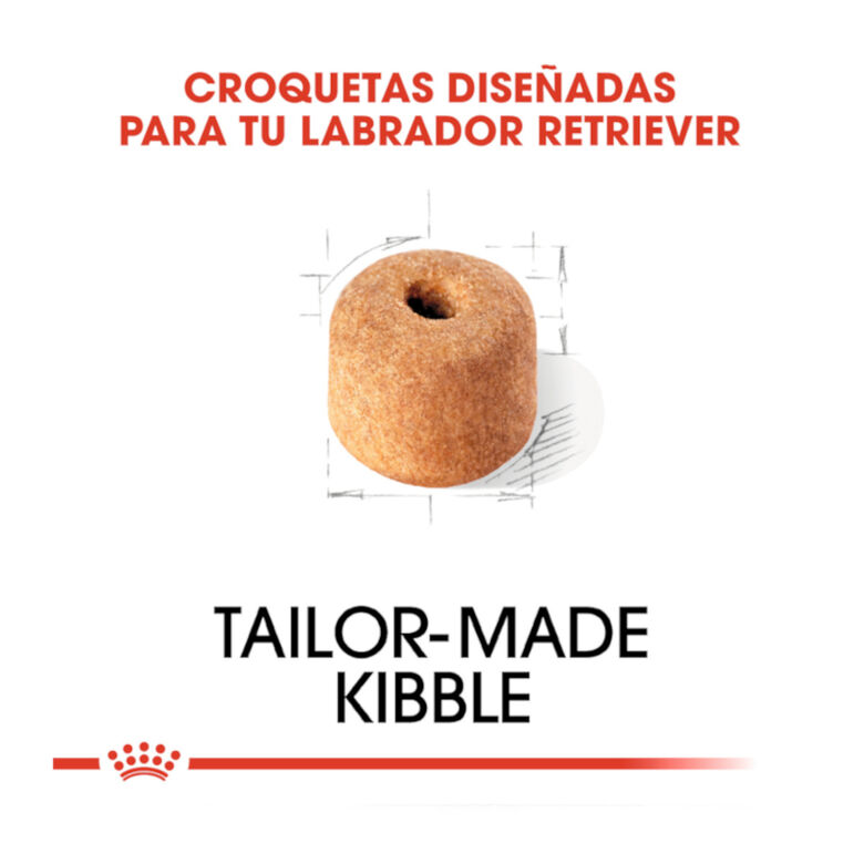 Royal Canin Adult Labrador Retriever pienso para perros thumbnail
