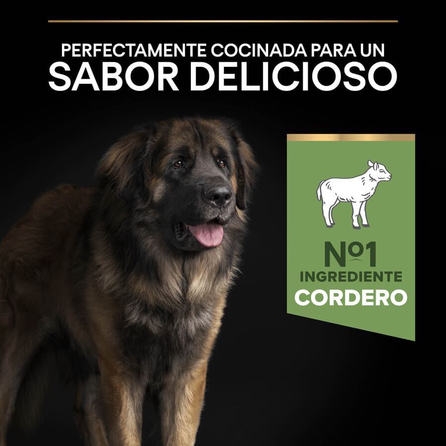 Pro Plan Adult Large Robust Digestión Cordero pienso para perros thumbnail