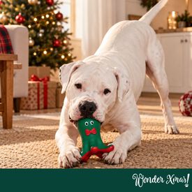Wonder Christmas Pulpo L&aacute;tex Juguete para perros