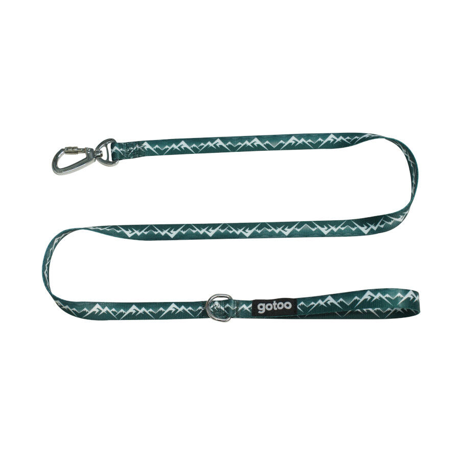 Gotoo Correa con mosquetón de seguridad verde para perros
