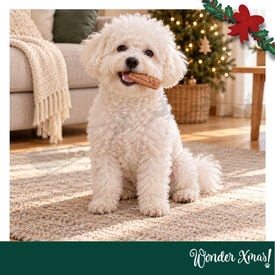 Wonder Christmas Salchichas de Pollo Snacks para perros