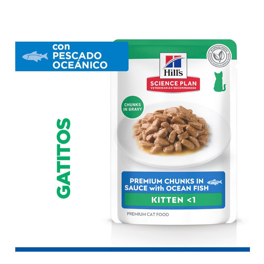85 g Hill's Science Plan Kitten Pescado Azul sobre para gatos, , large Imagen numero 3