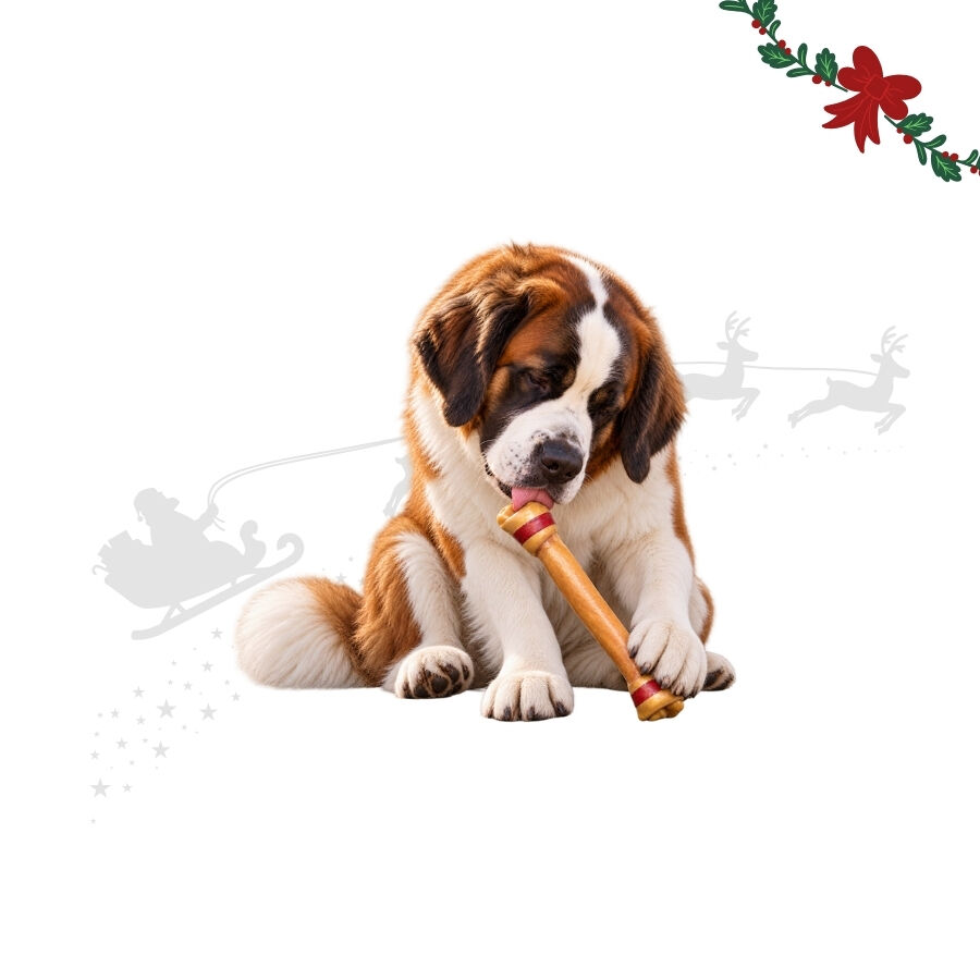 1 ud. Wonder Christmas Hueso Gigante Cuero Prensado Snacks para perros, , large Imagen numero 1
