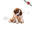 1 ud. Wonder Christmas Hueso Gigante Cuero Prensado Snacks para perros, , large indicador imagen numero 1