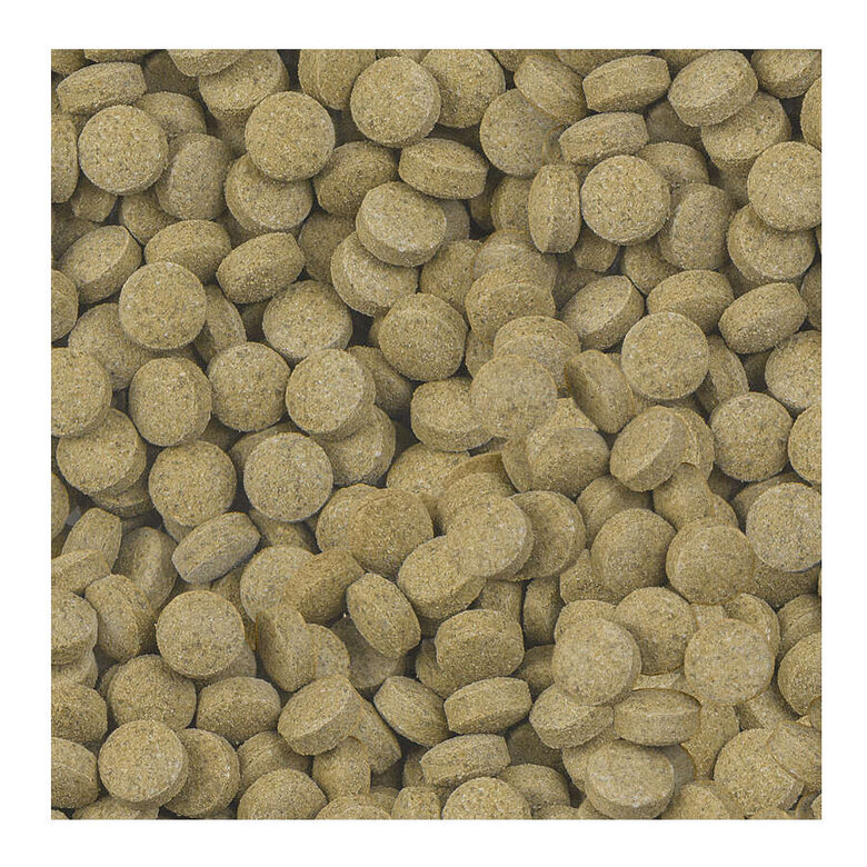 Sera Viformo Nature Alimento para peces de fondo,  Imagen numero 2 Sera Viformo Nature Alimento para peces de fondo, , large Imagen numero 2