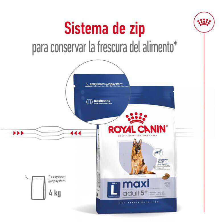 15 kg Royal Canin Maxi Adult 5+ pienso para perros senior de raza grande, , large Imagen numero 4