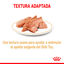 85 g Royal Canin Adult Shih Tzu Paté sobre para perros, , large indicador imagen numero 3
