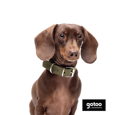 Gotoo Collar Biothane verde oliva para perros