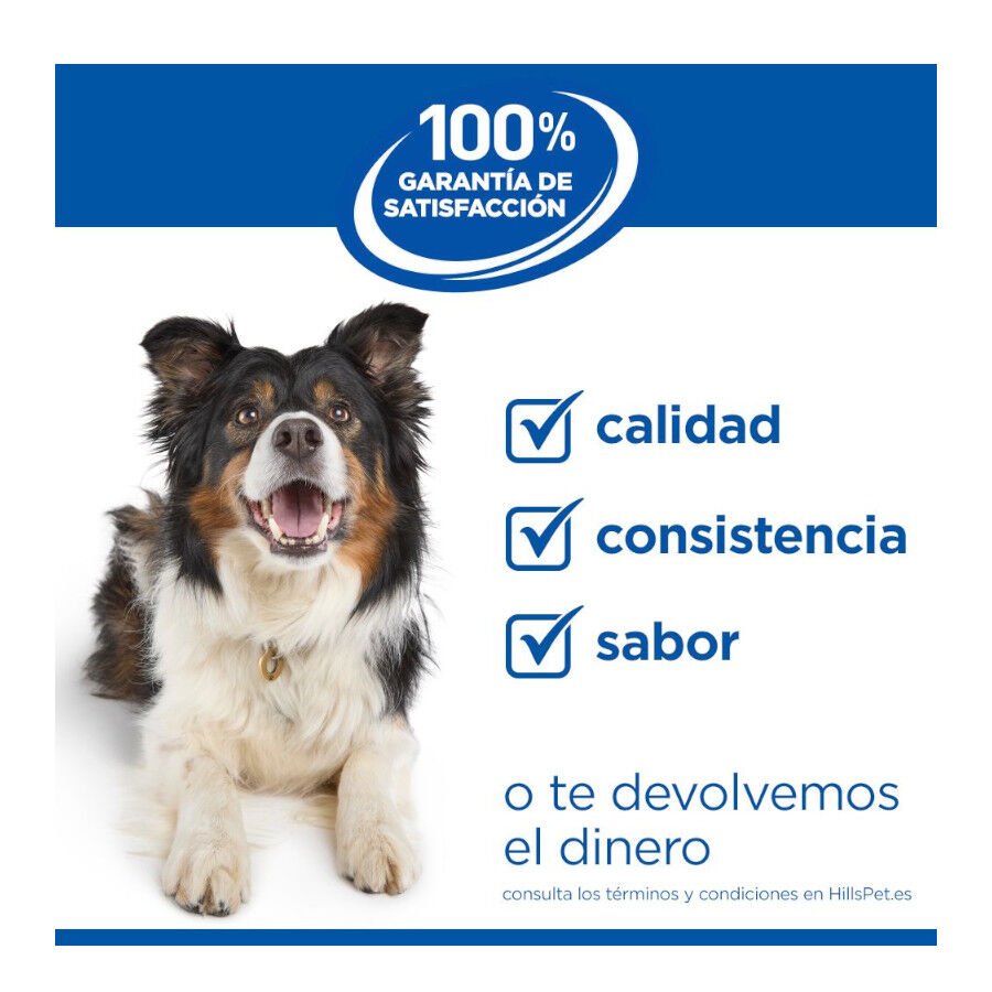 Hill&#039;s Science Plan Adult Large Pienso Pollo para perros thumbnail