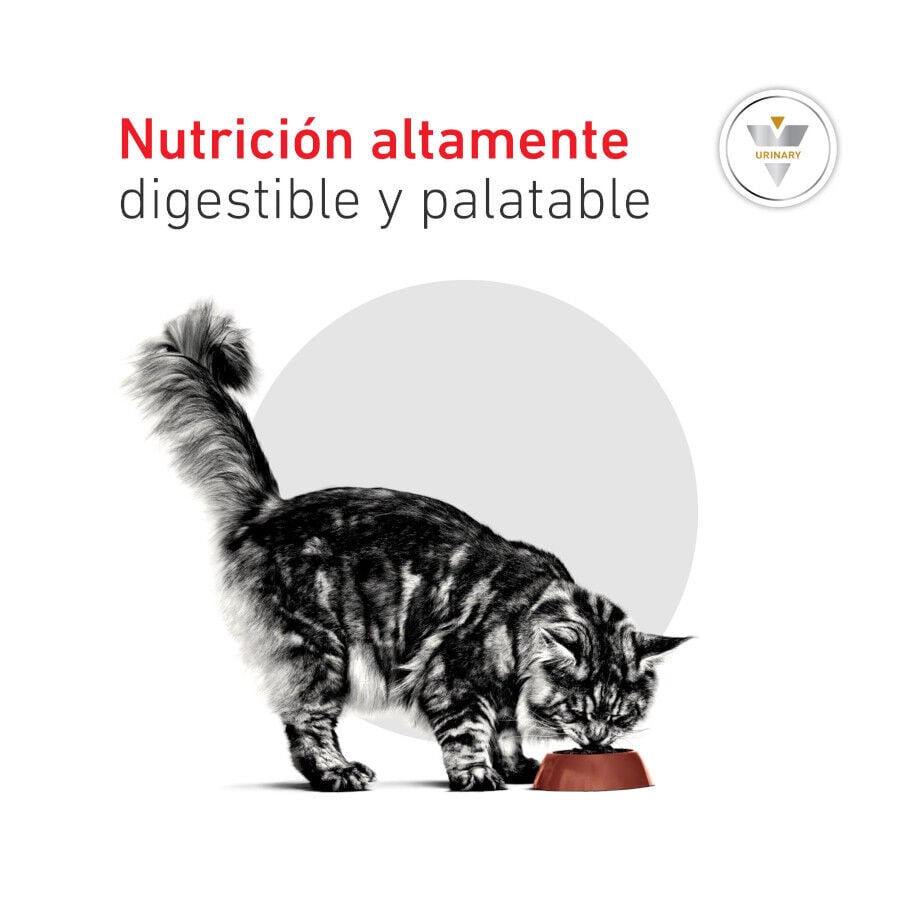 9 kg Royal Canin Veterinary Urinary S/O Moderate Calorie pienso para gatos, , large Imagen numero 9