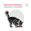 9 kg Royal Canin Veterinary Urinary S/O Moderate Calorie pienso para gatos, , large indicador imagen numero 9