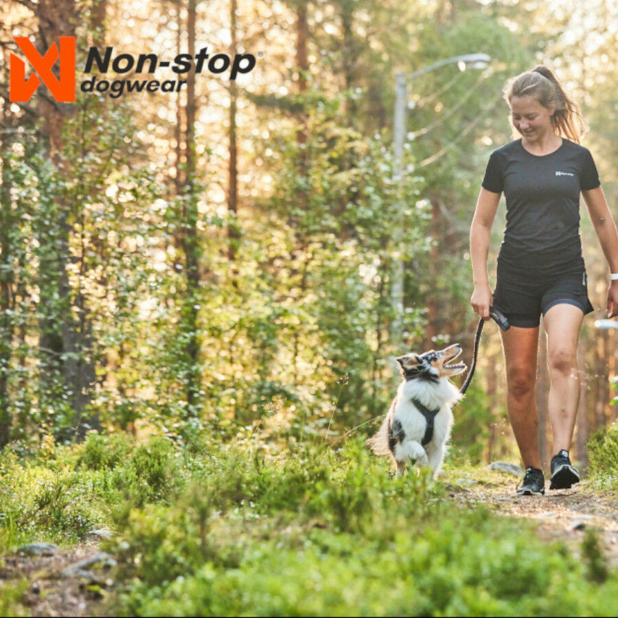 Non-stop dogwear Line 5.0 Arnés Verde para perros thumbnail