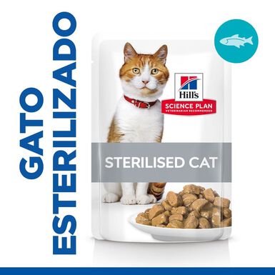 Hill's Science Plan Sterilised Young Adult Trucha Sobre en Salsa para gatos