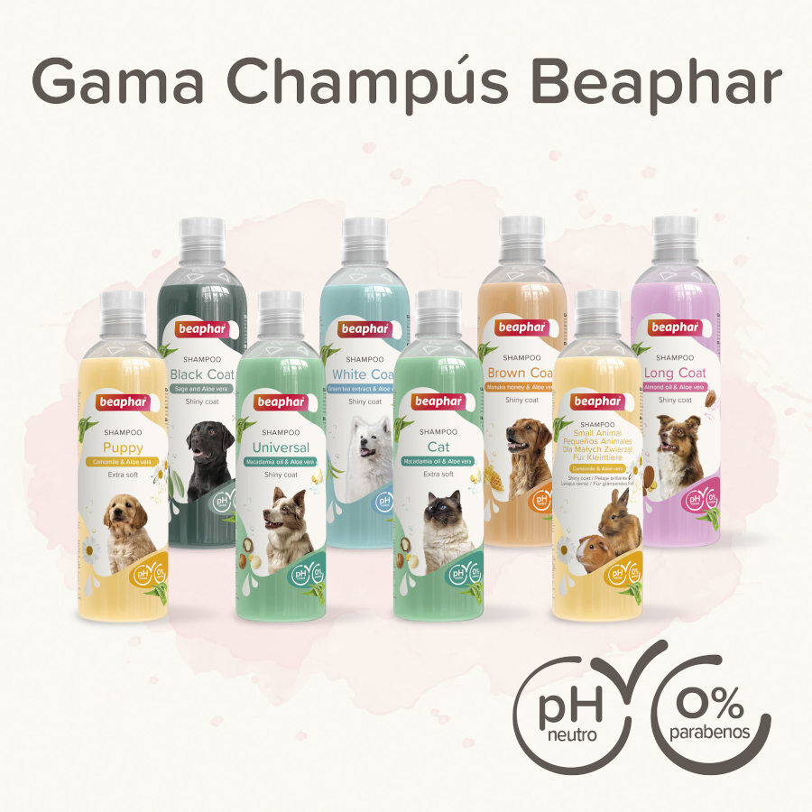 Beaphar Champú Extra Suave para gatos thumbnail