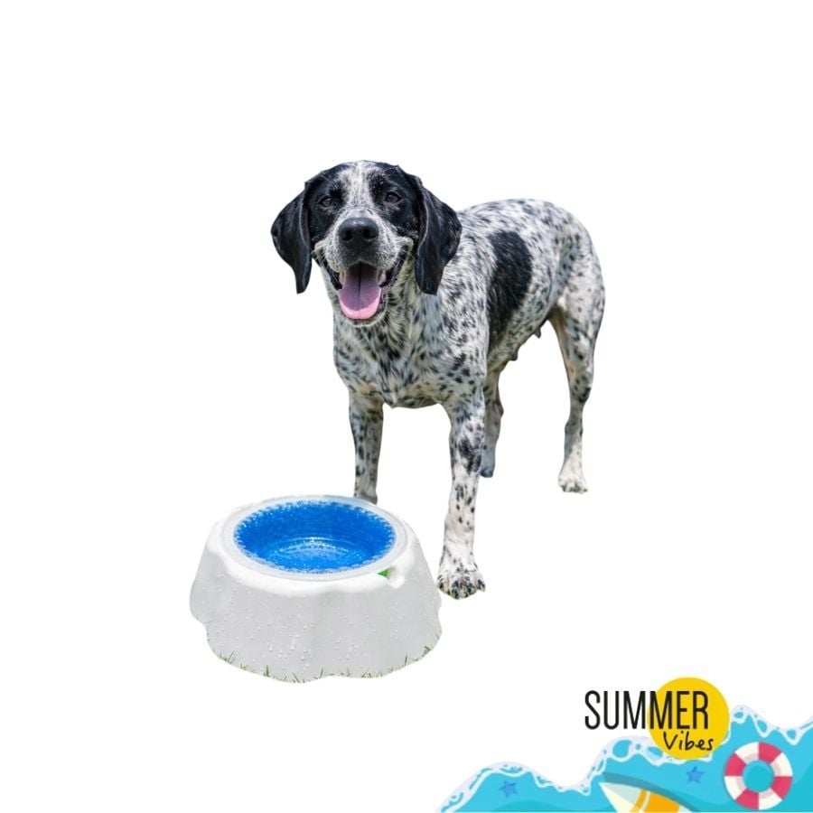 Summer Vibes Bowl Refrescante Comedero y Bebedero para perros, , large Imagen numero 7