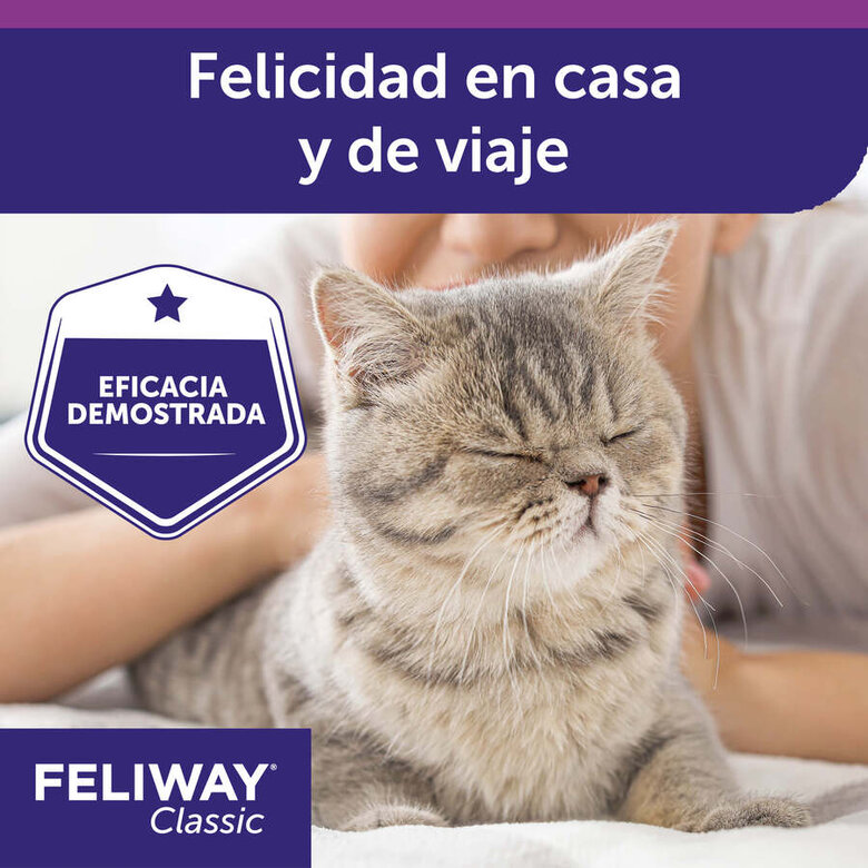 Feliway Spray tranquilizante para gatos,  Imagen numero 8 Feliway Spray tranquilizante para gatos, , large Imagen numero 8