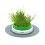 Germinador de Hierba Gatera Catnip 2.0 de Catit para gato indicador imagen numero 1