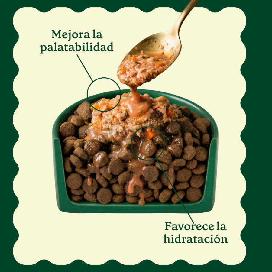 85 g Wild Balance Toppers Salm&oacute;n salsa para perros, , large Imagen numero 7