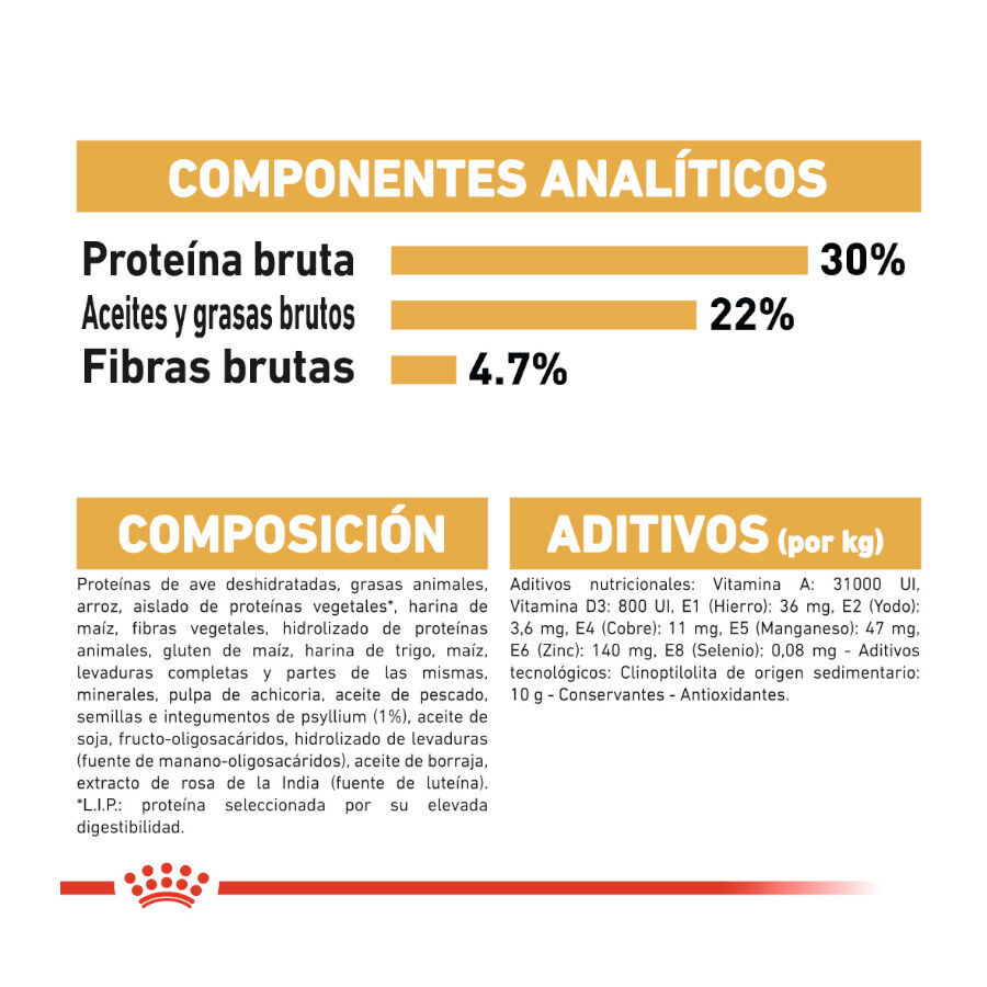 Royal Canin Persian pienso para gato adulto persa thumbnail