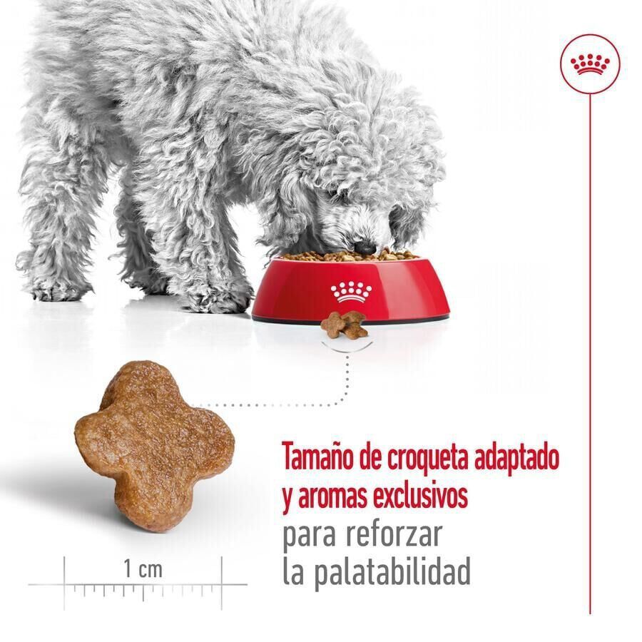 Royal Canin Mini 8+ Adult pienso para perros thumbnail